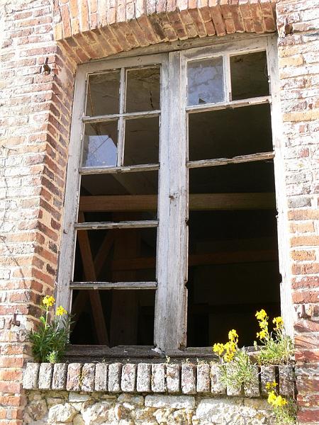 Mont Saint Michel 2010 - 045.jpg